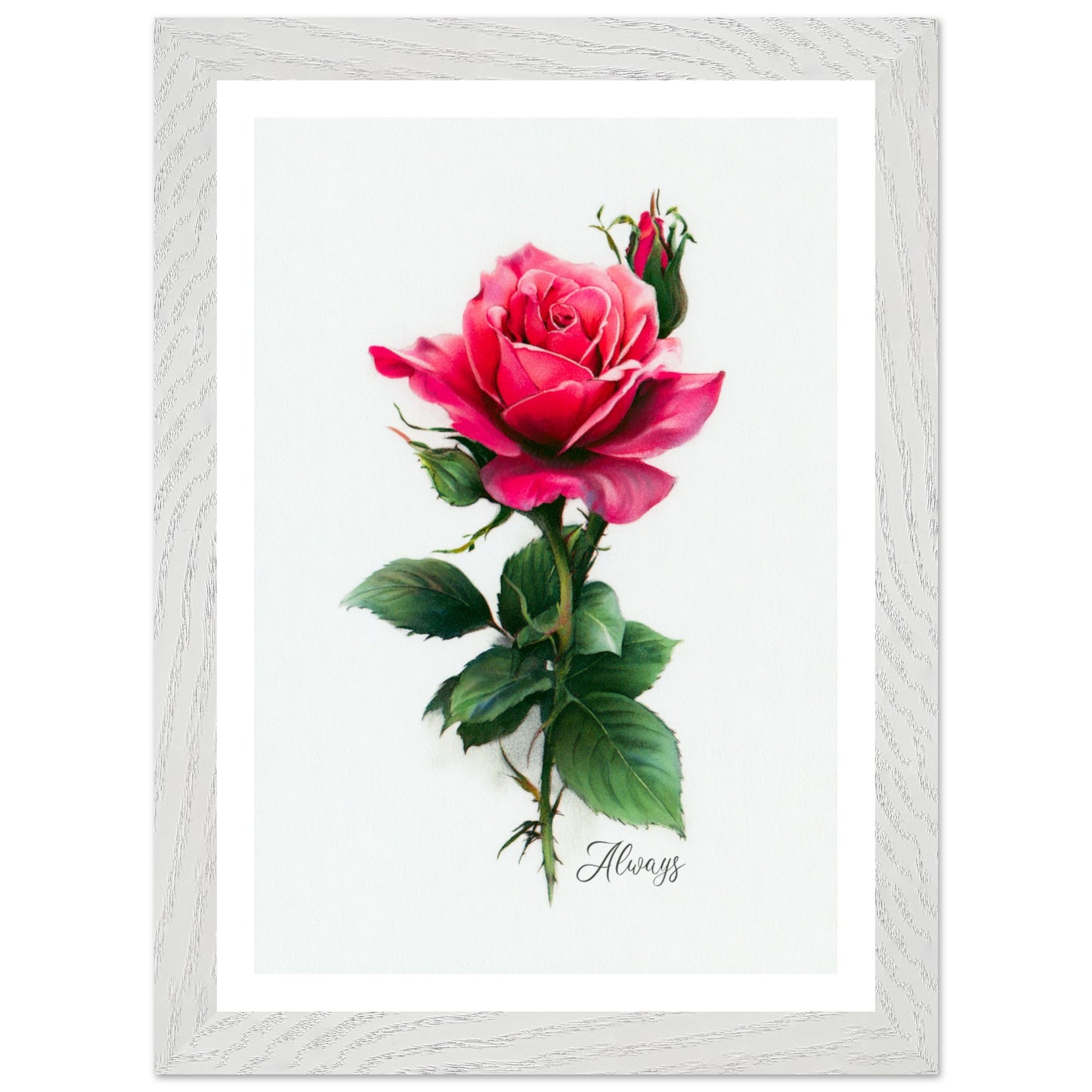 a2b2dec8-dade-42e7-bdba-69516561bc70