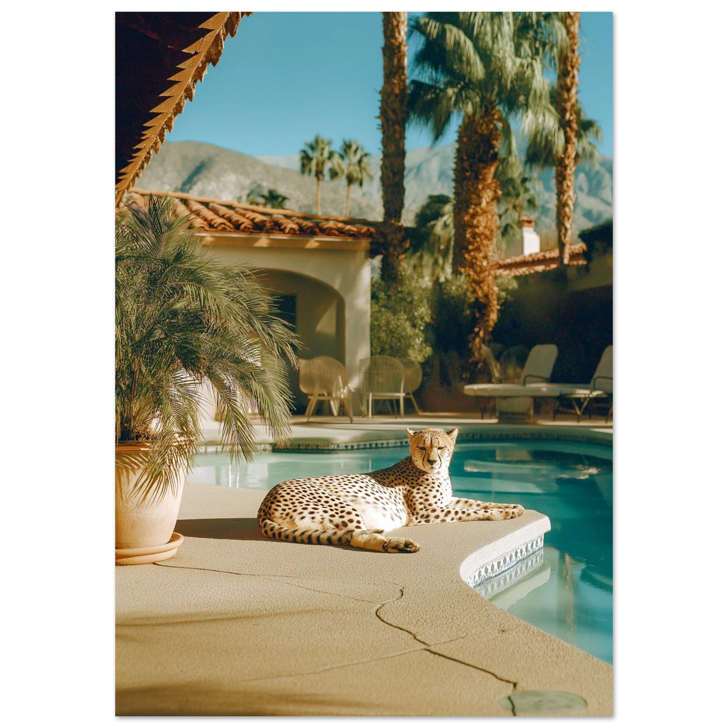 a31fb8e6-daf7-4614-9e0c-5c5a26fa8490