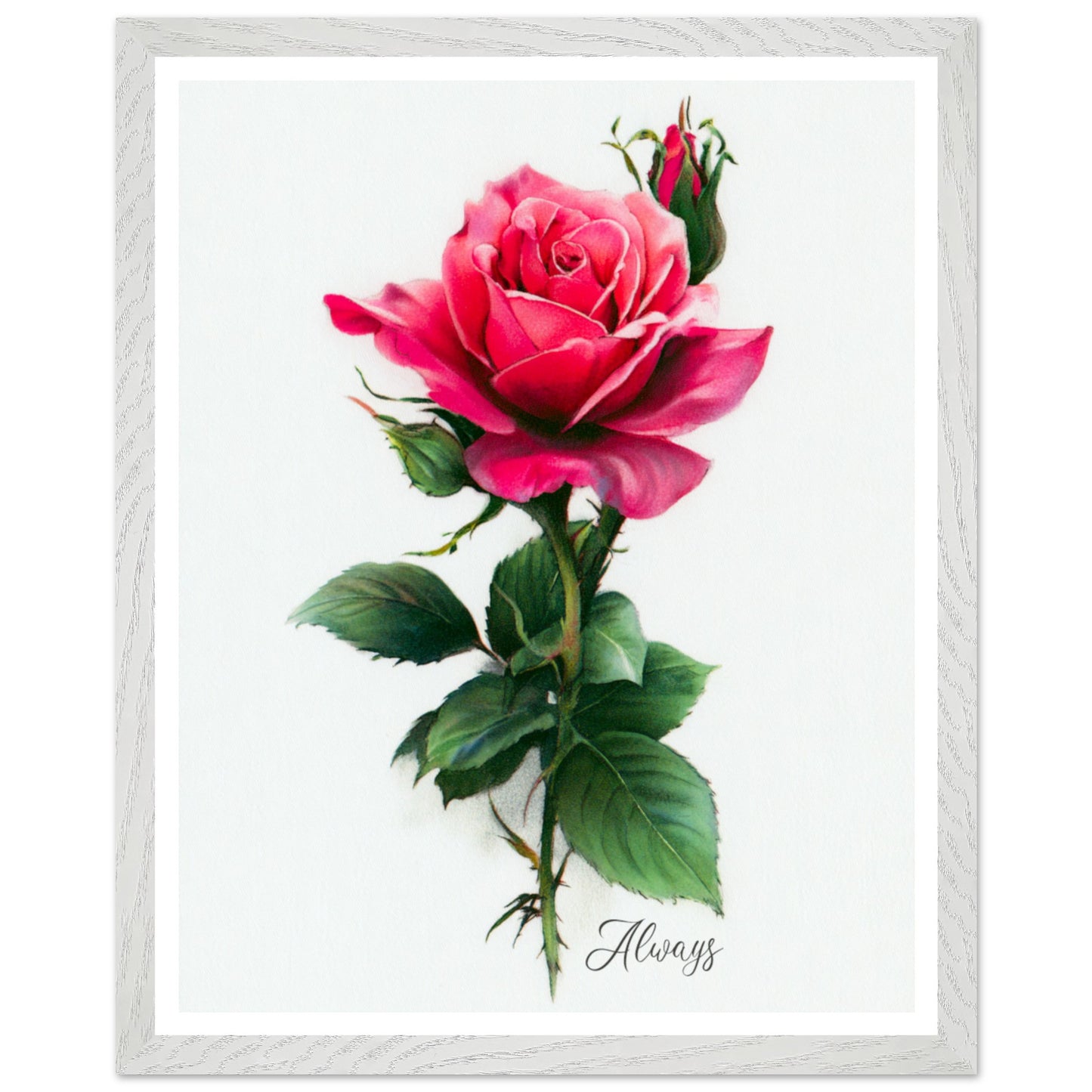 a8a6f0e6-ed59-4e82-835c-3201f73b5d35