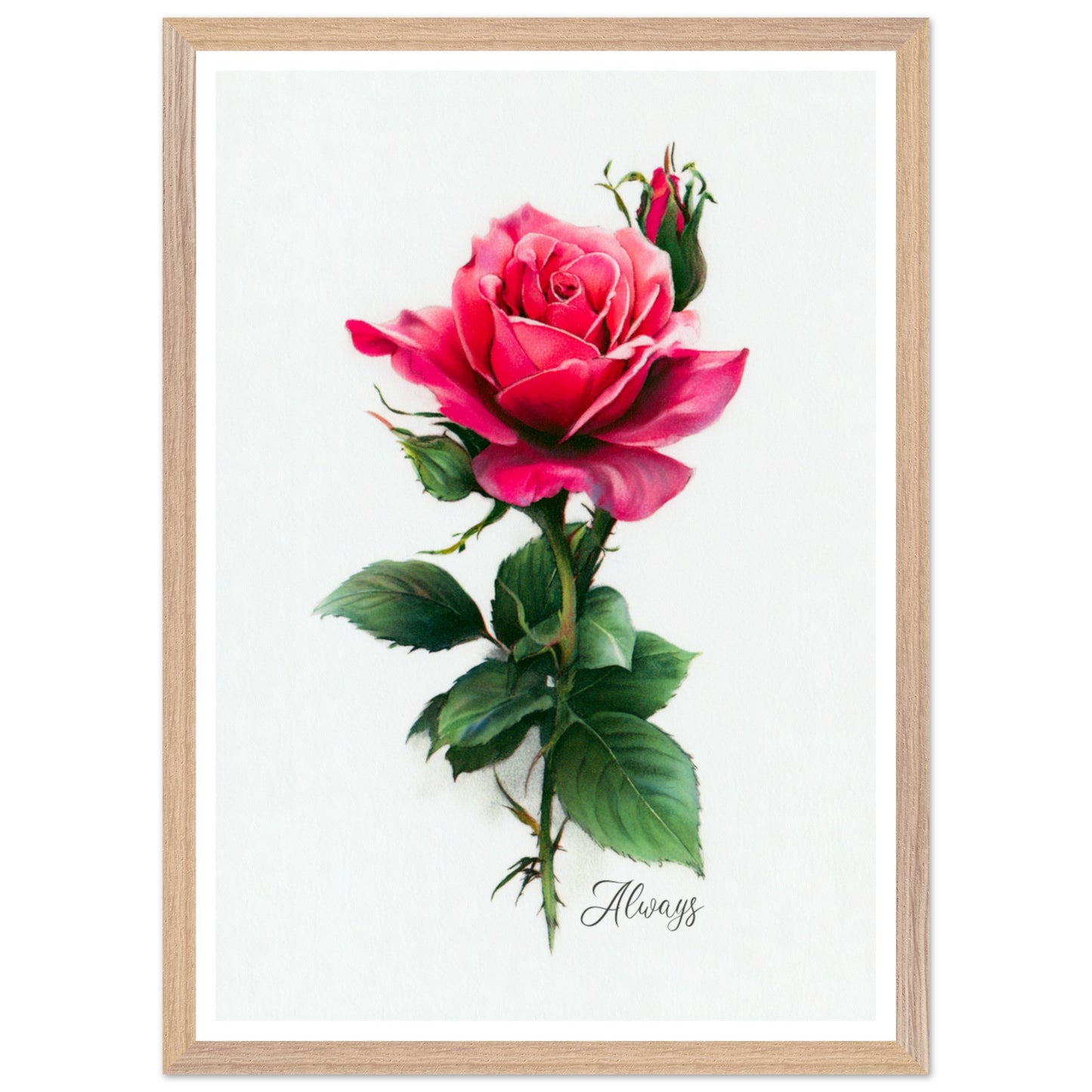 ab5564ab-d827-4192-be80-8eba7905ea38