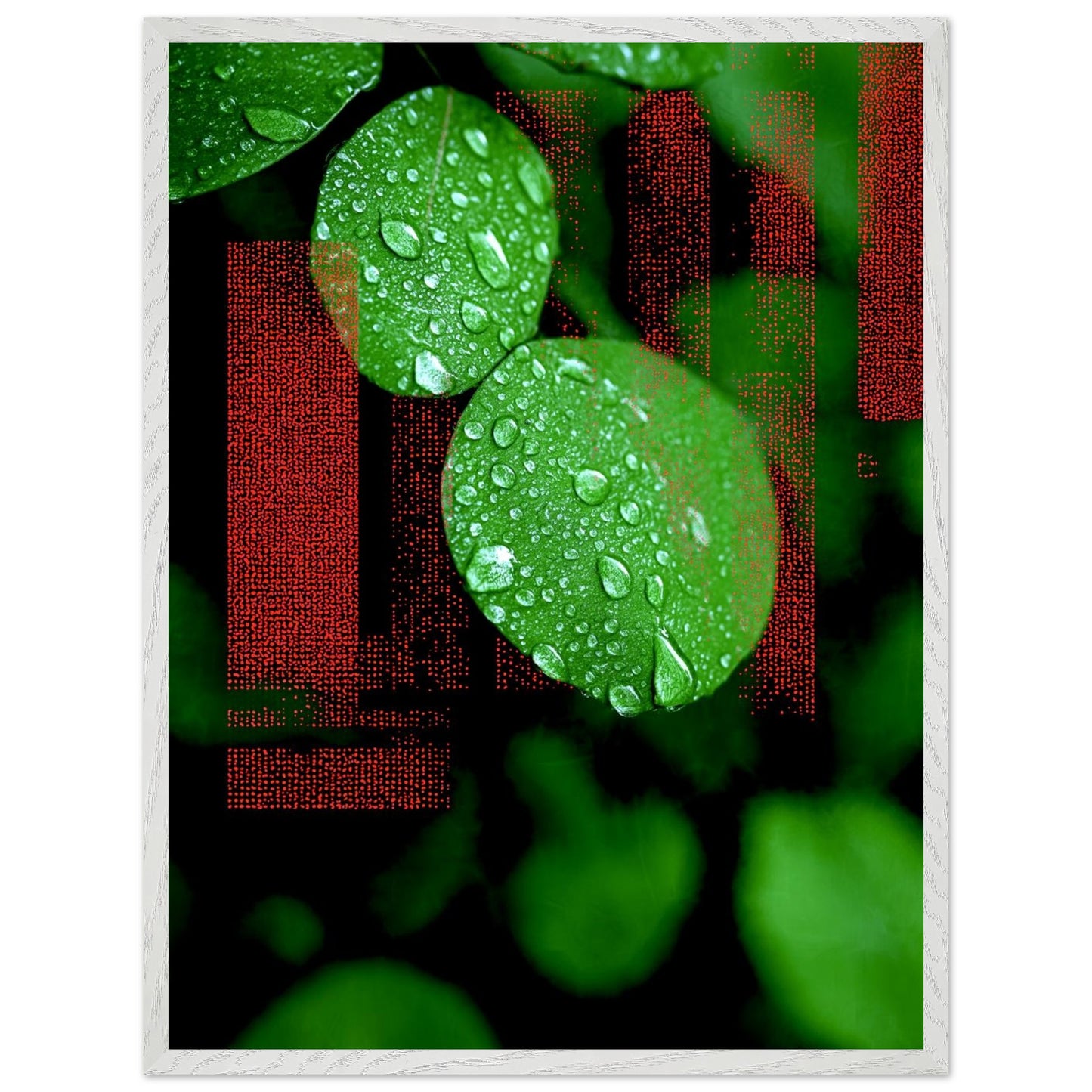 b2dc1282-b192-4cbe-9165-07a1d37fcd09