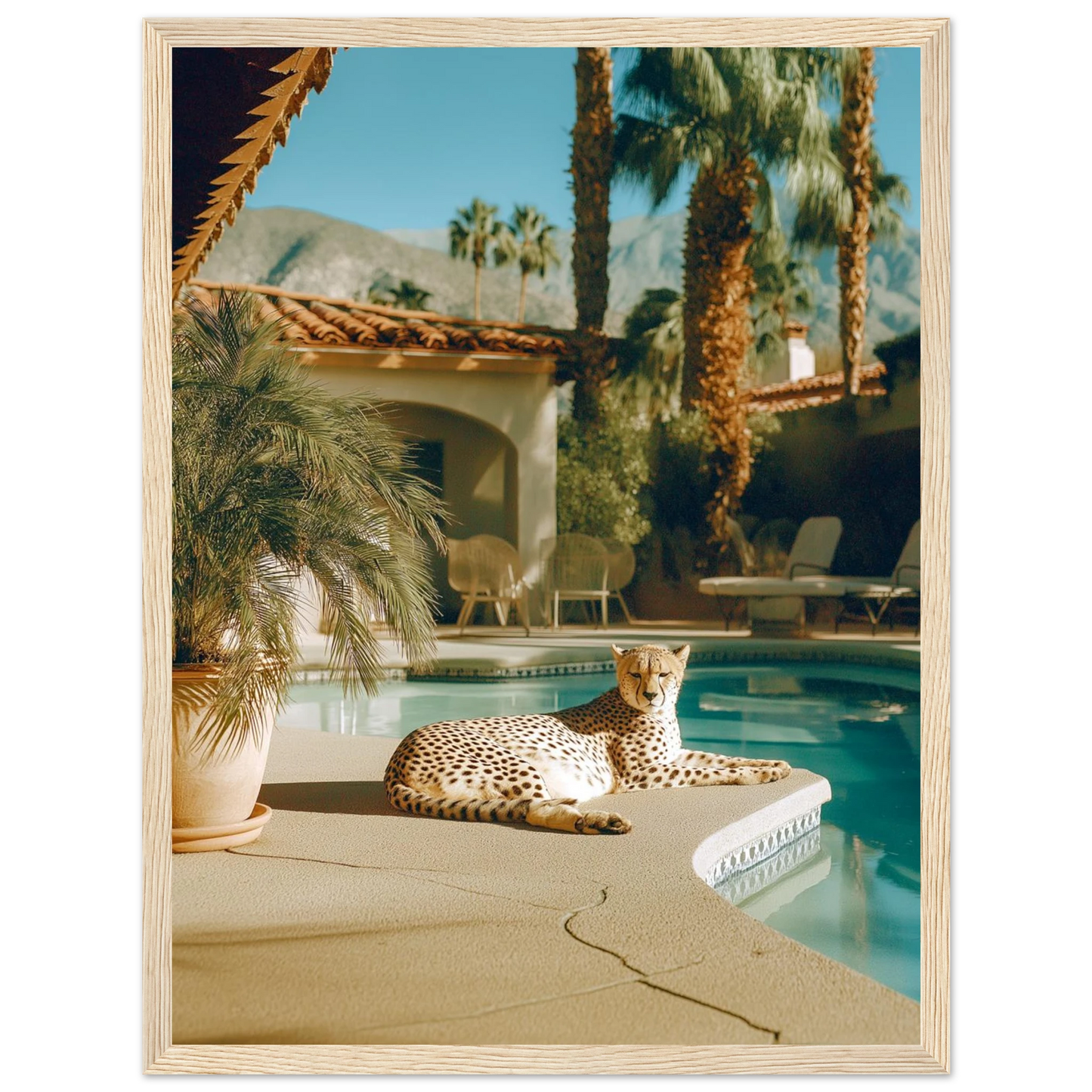 b305902f-a907-47d7-80b1-5d0d996765c0