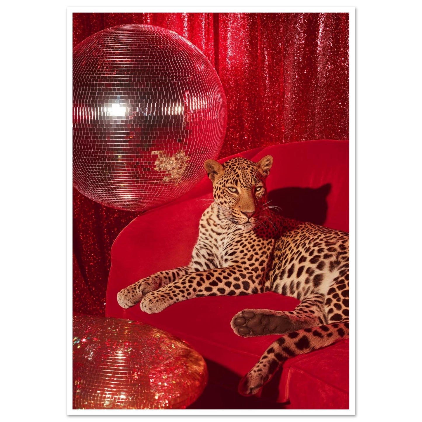 b68f2379-6aea-4211-84b1-81ef1ff88e2f