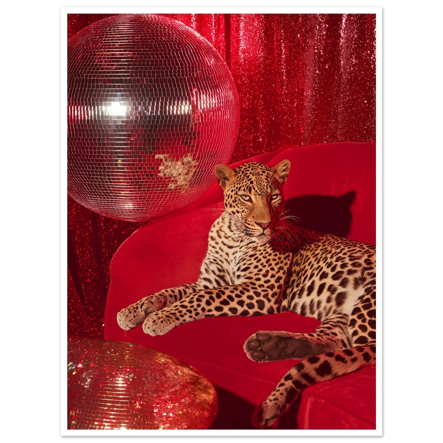 b99bc5d9-efbb-494e-b408-89655f58b270