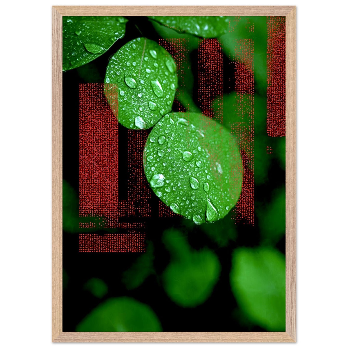 ba1a2fe4-98a2-4ff0-981b-aee5d423d939