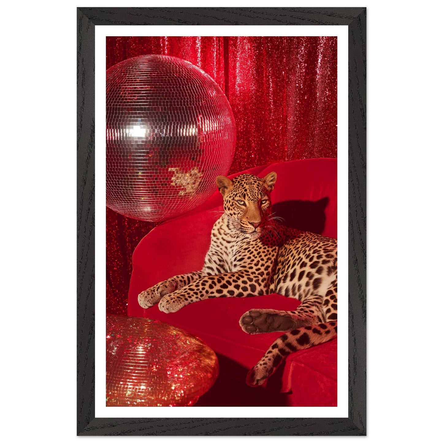 ba97411e-a639-441c-952a-5a1ebbffd7c5