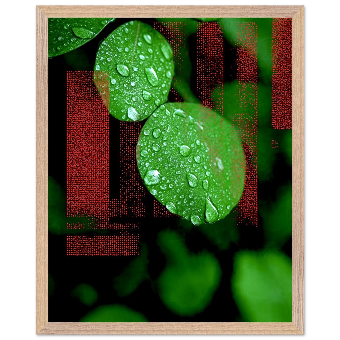 bf0b6b94-973e-4b84-a62e-70d7fa1ff73c