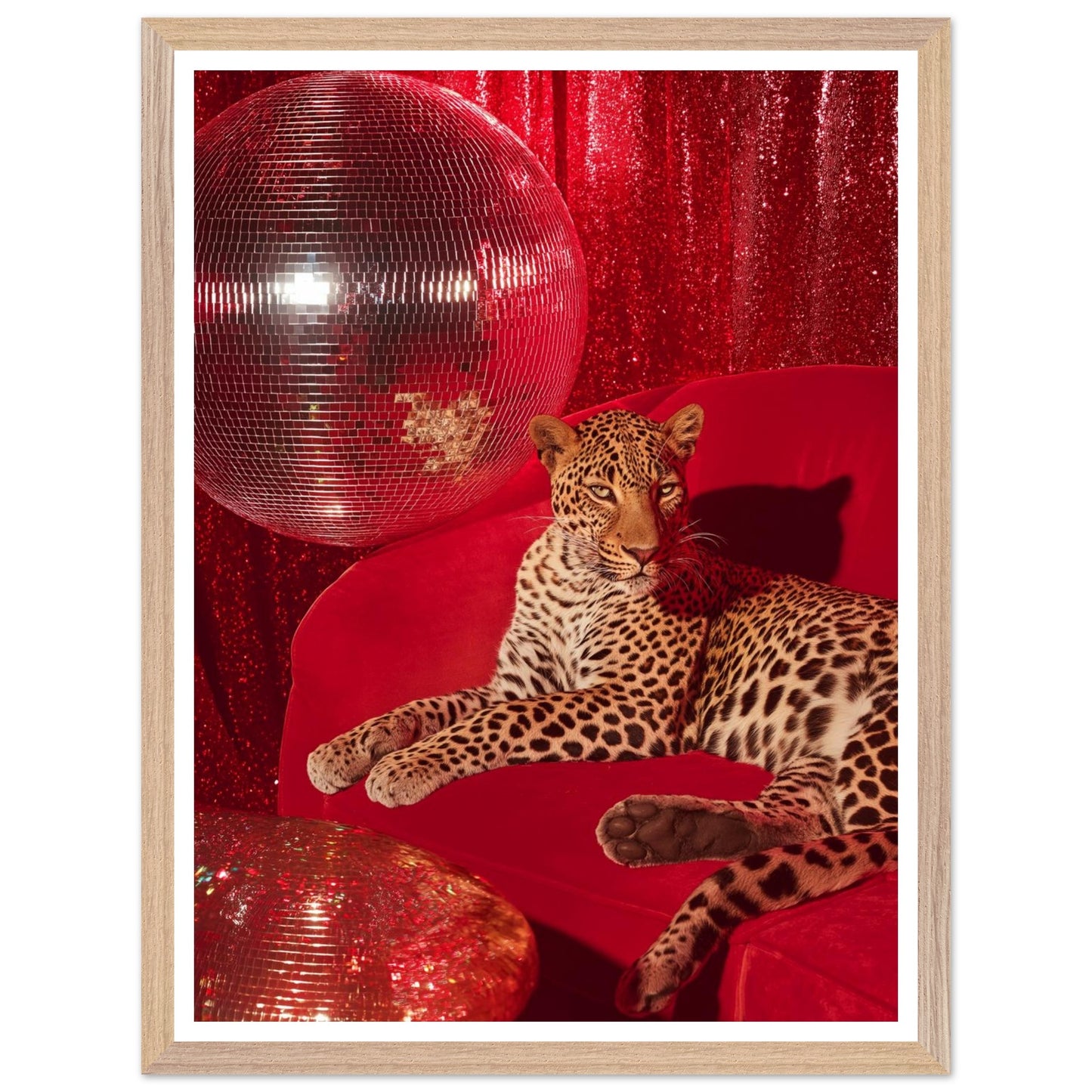 c21483e4-bc5e-43bb-8943-47345743b6ce