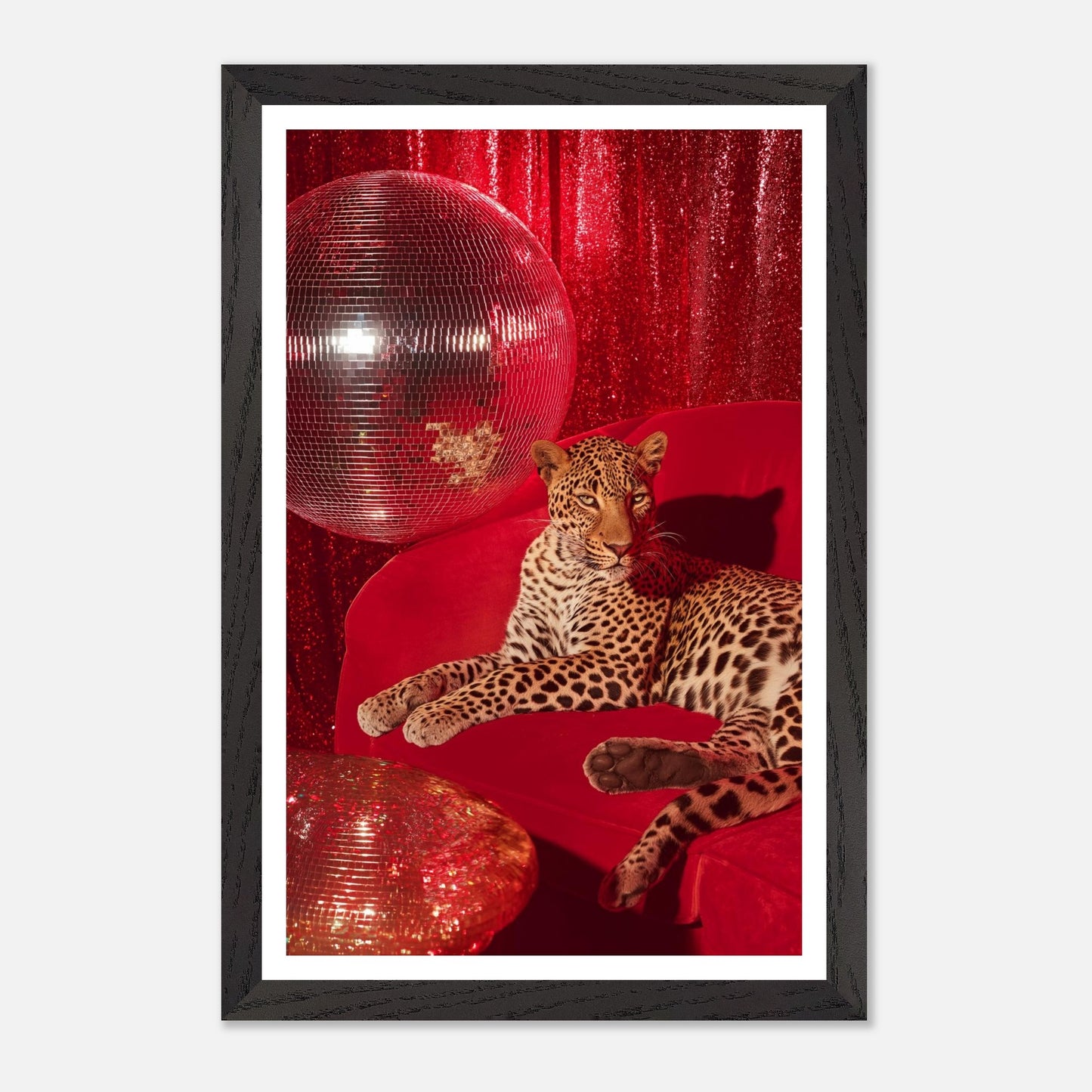 c47a57a0-c8f9-49ff-a0da-155aa946bf12