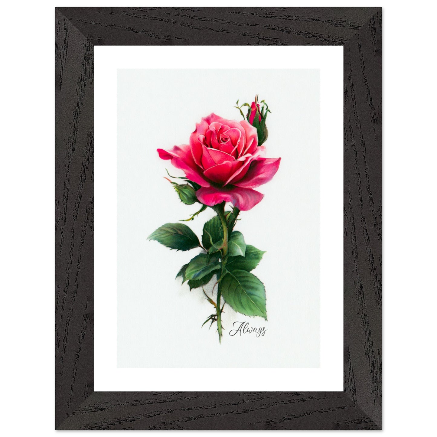 c7130eac-20f7-4a3d-8be6-676e41f5f484