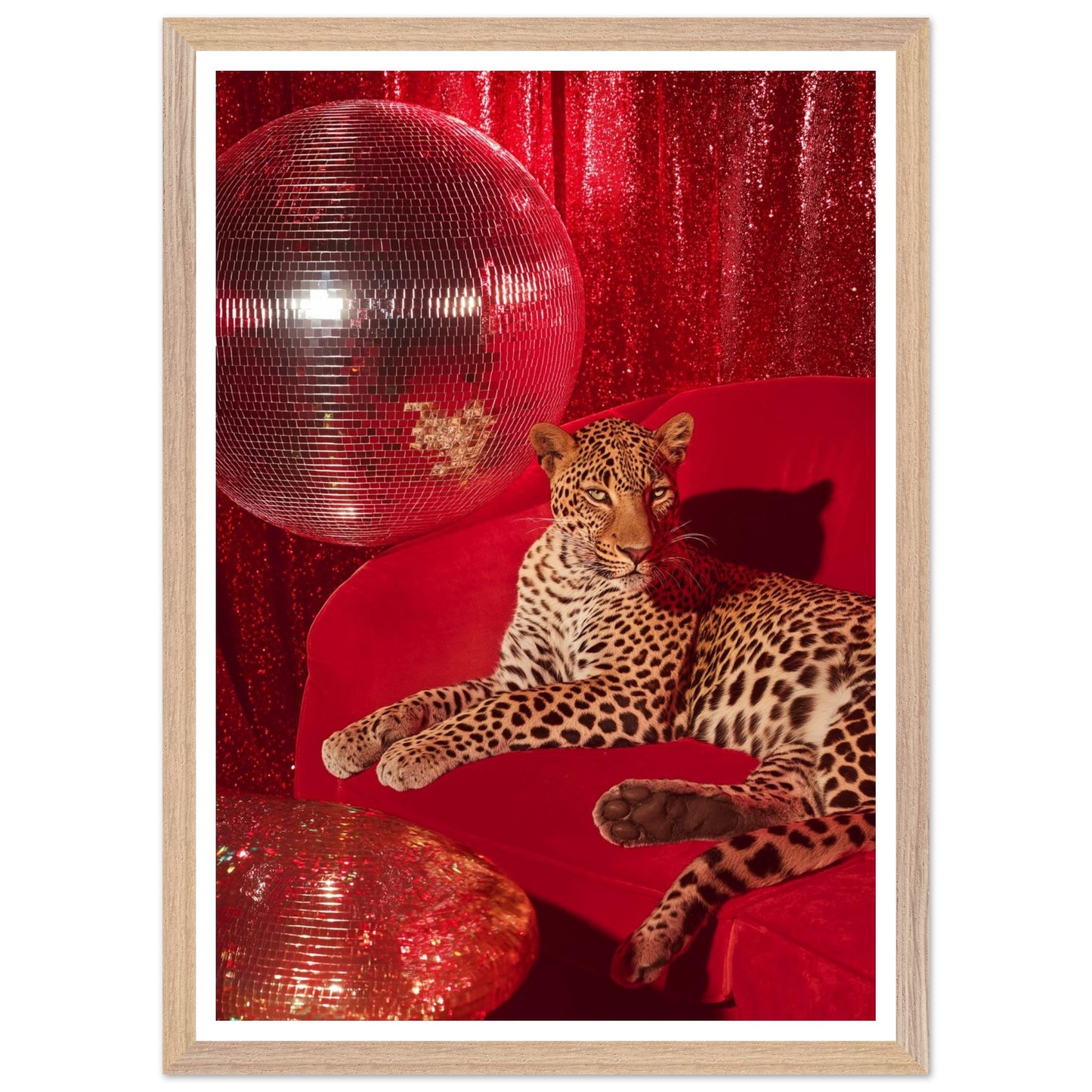 cc178e58-caef-4afb-8eb0-536e7e5e8439