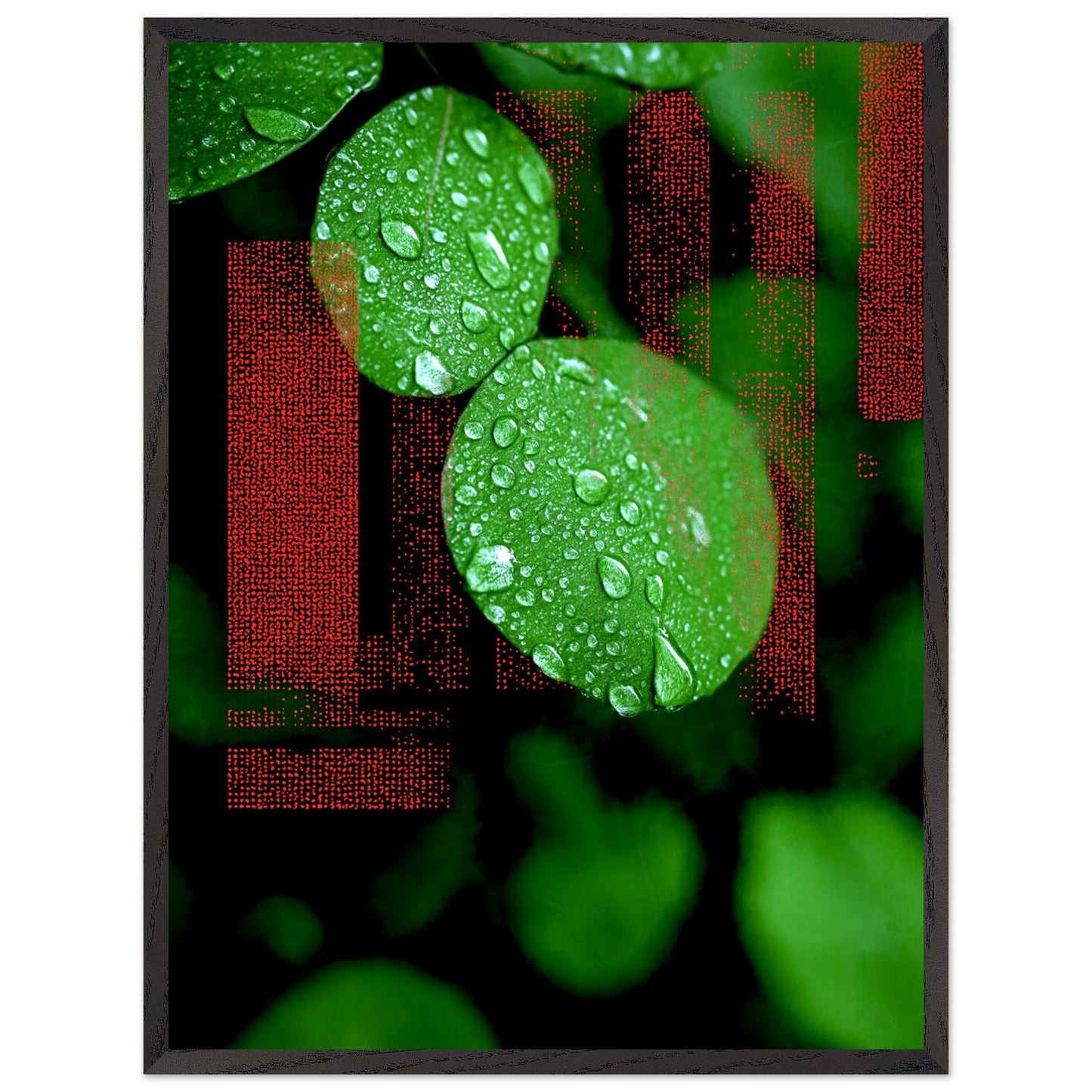 cd498939-a25a-4dcb-aebd-833720ba9abc