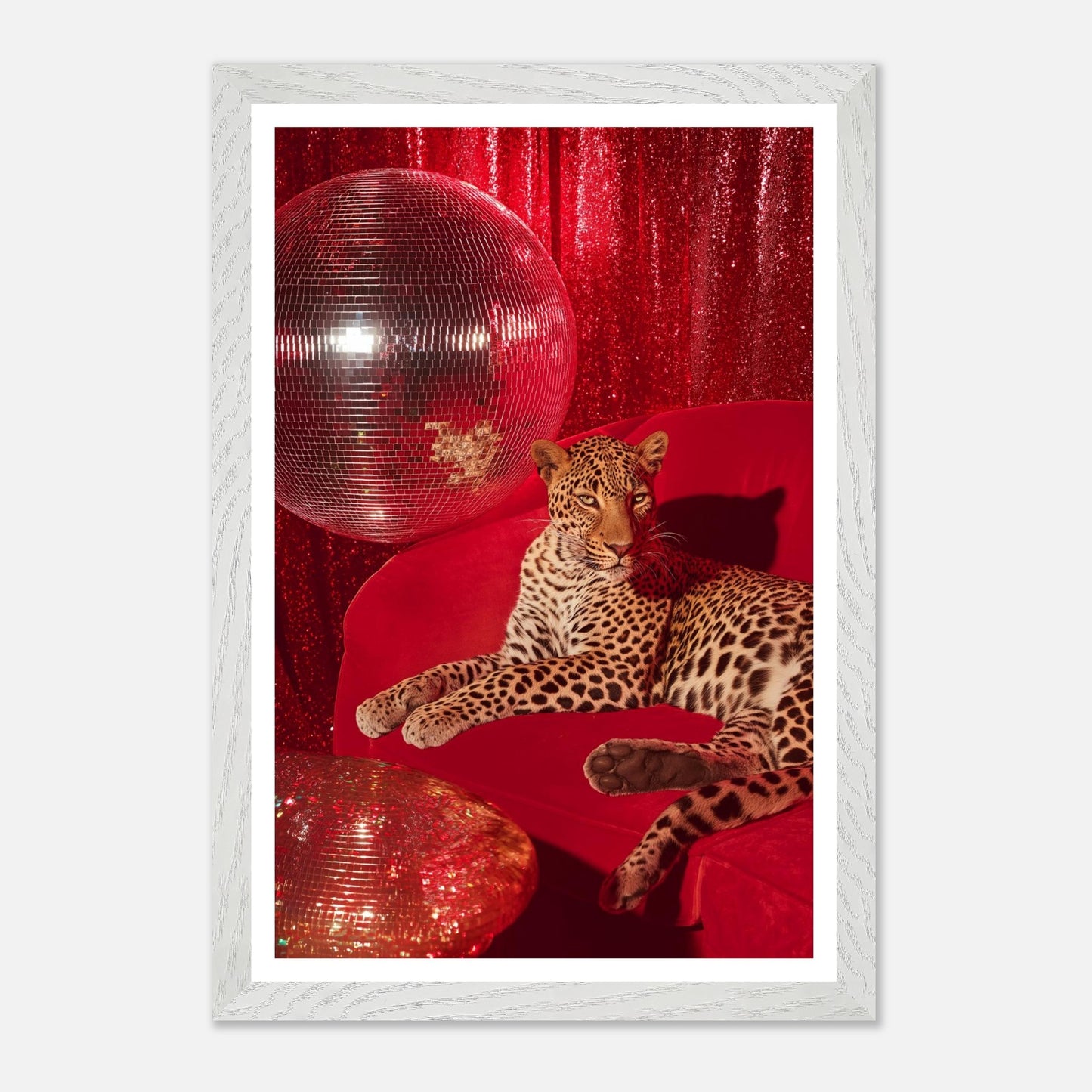 cef50500-1999-461a-830e-6f4fbe579a51