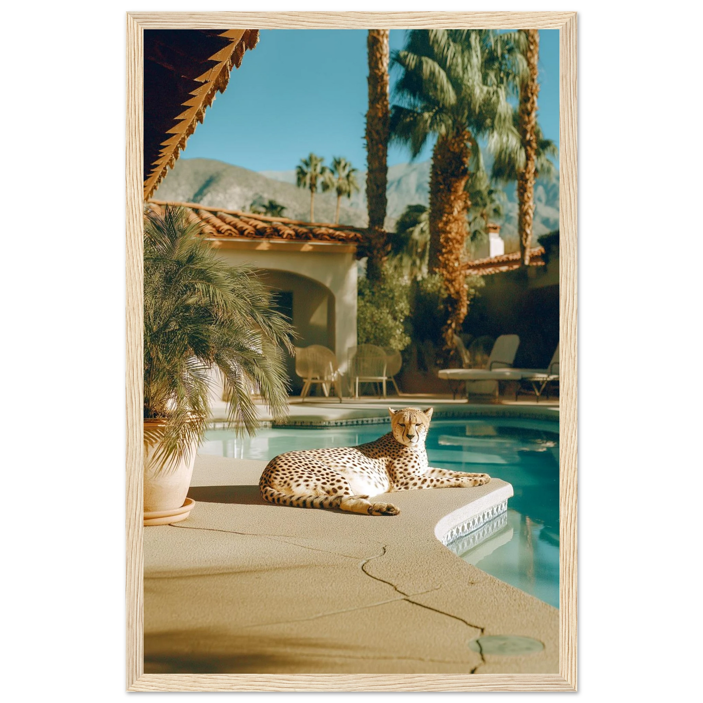 d6795f23-3e5c-4430-9afc-7e2f0487b413