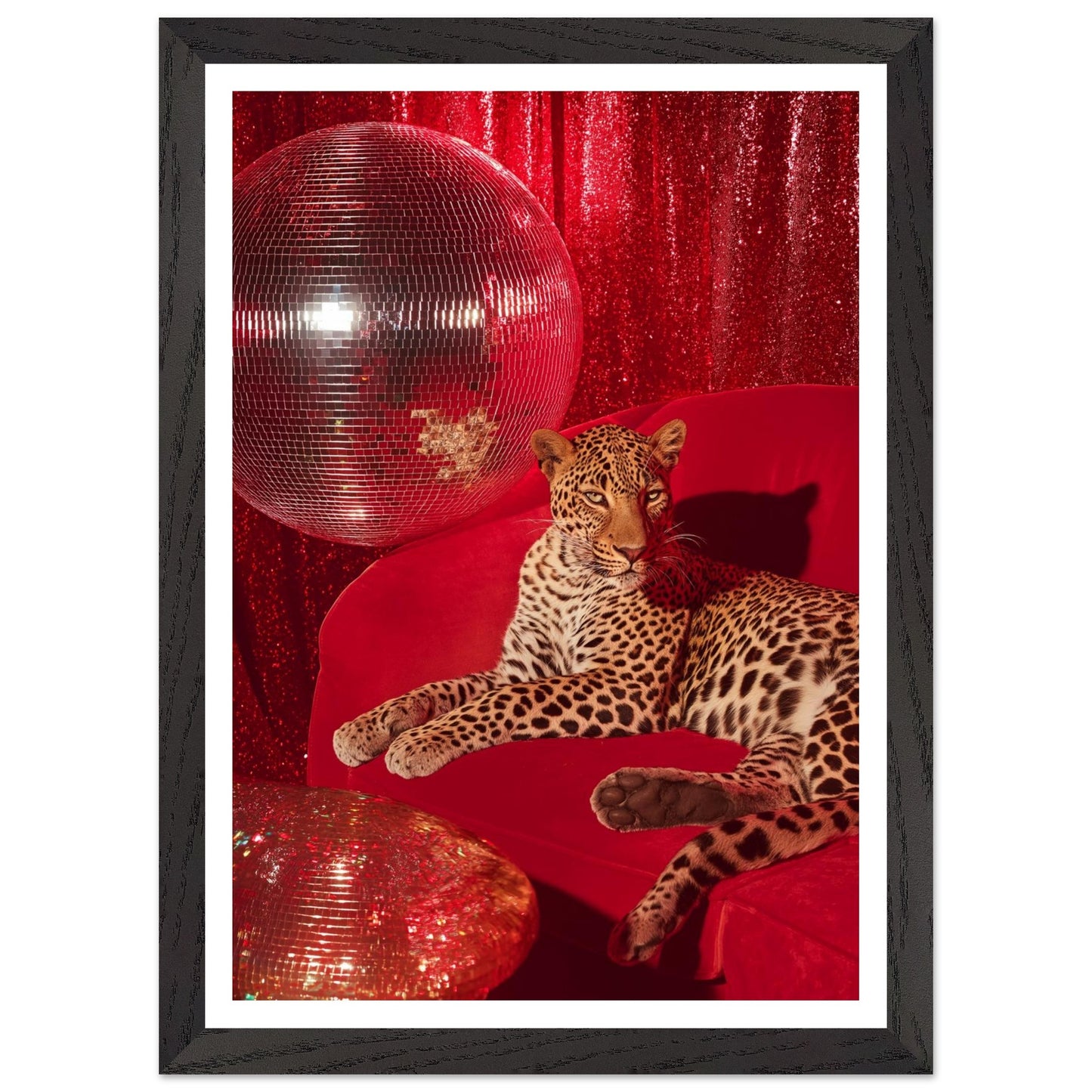 d776d899-8733-454b-8742-e57a275c2f66