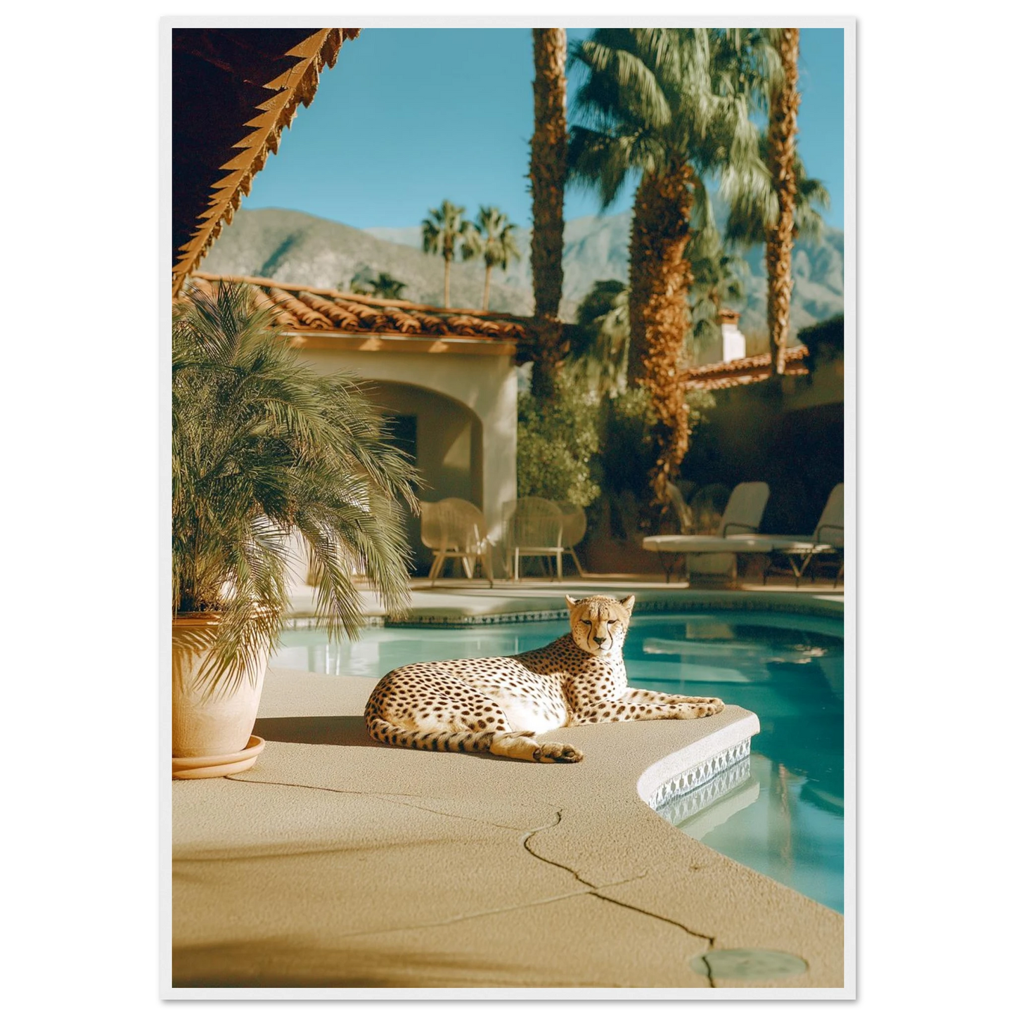 d790936f-d62b-484e-9740-a05de2d070d8