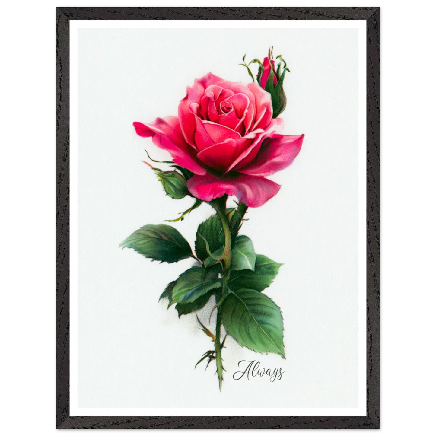 e0bd550a-0d3a-4a24-9130-b2e914762039