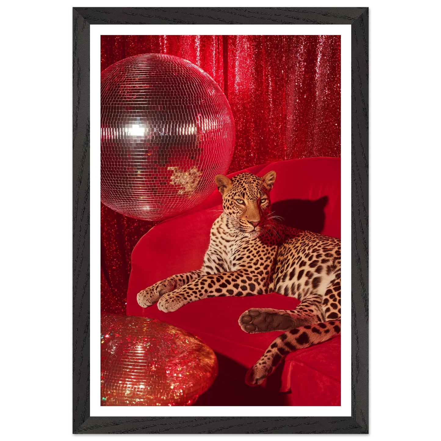 e48716d1-cb7a-4fed-bcd3-3a75b1307aa4