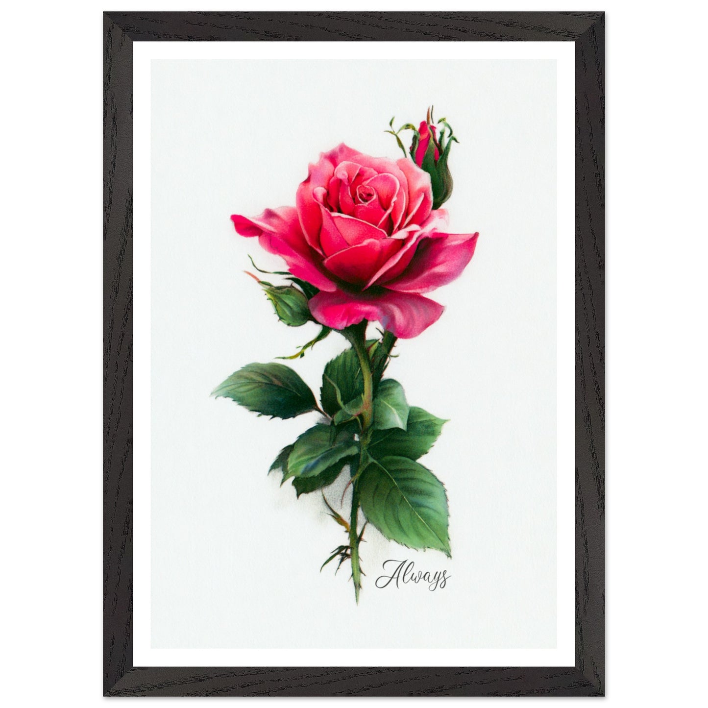 e7fe9b54-346e-4edf-b9ed-f0c63f11acf4