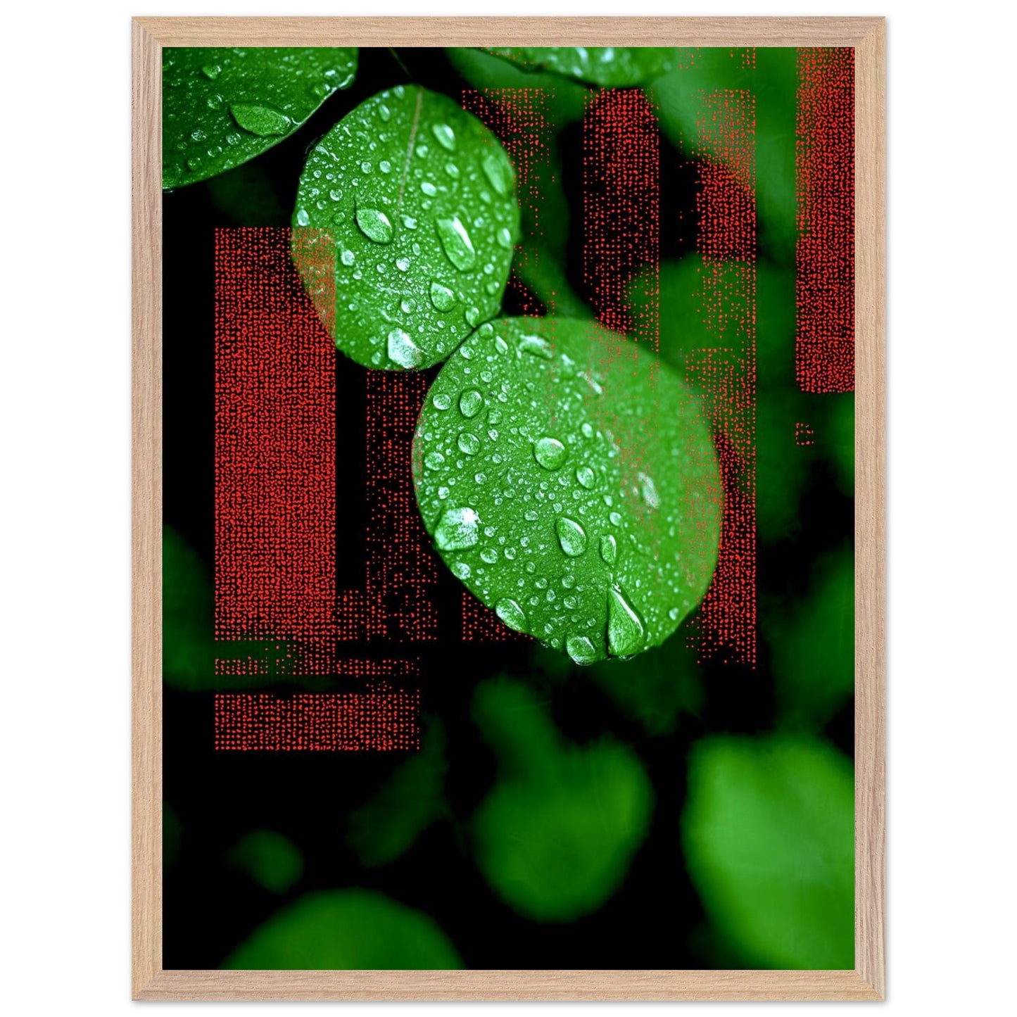 e924b033-56e5-468b-8bdf-73742d0de86f