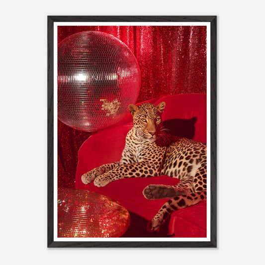 ea8a02e6-8708-4e2e-8255-d9a77f98dd8a