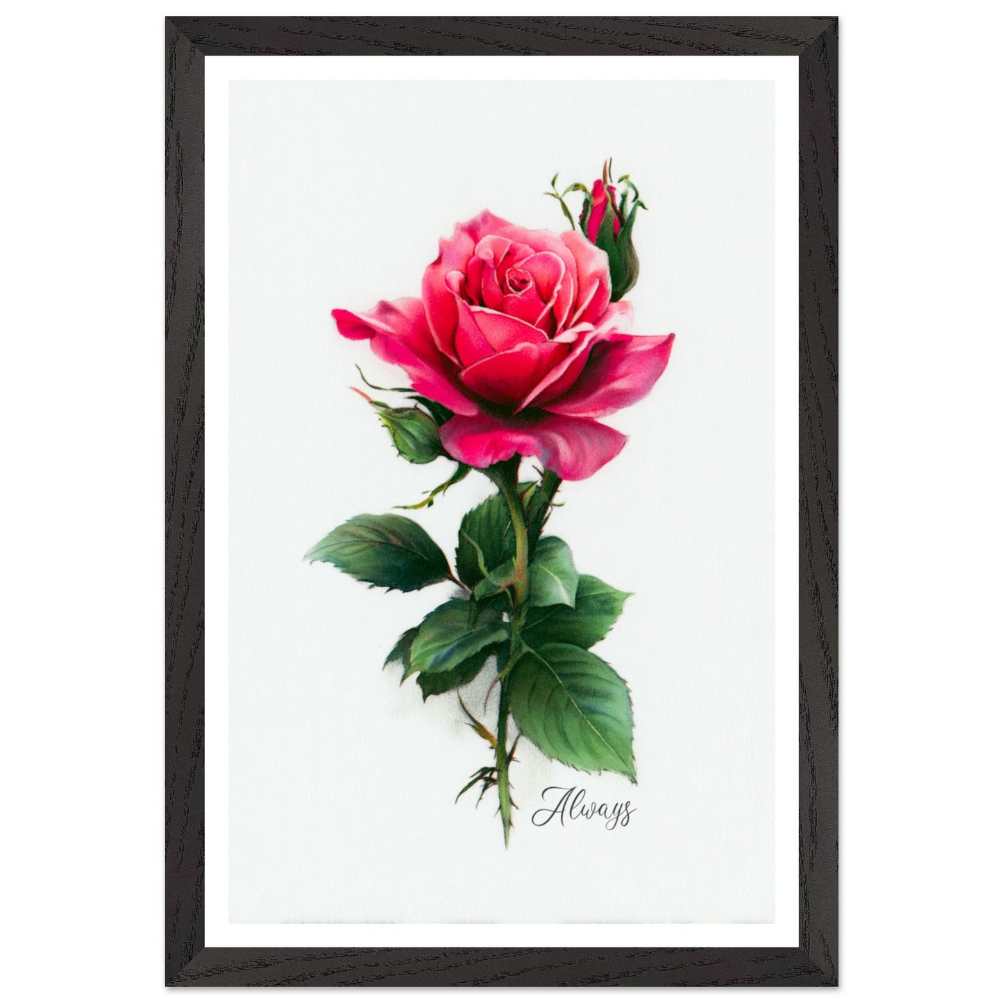 ef217047-930b-473e-969a-aabc30ea8bd4