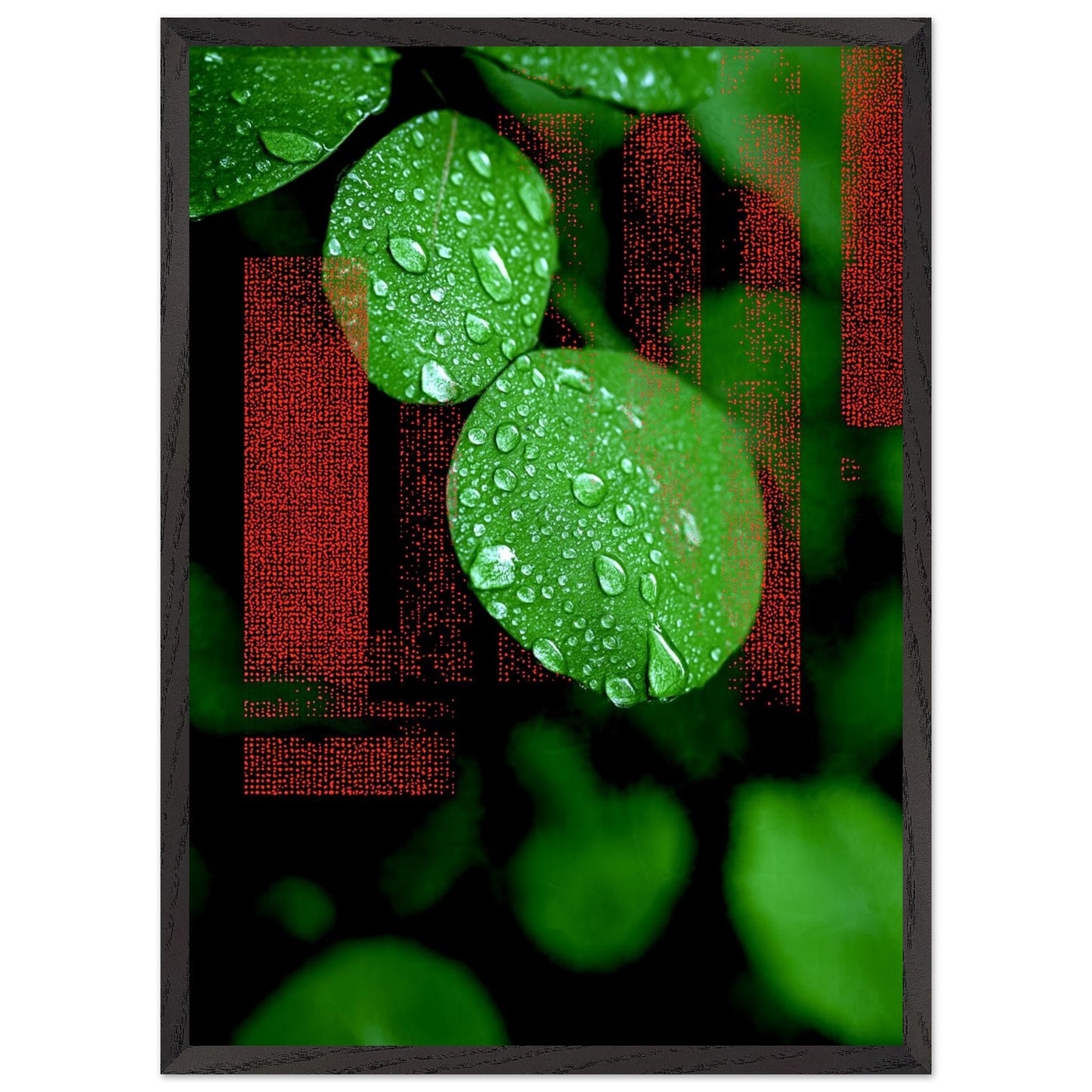 f05506e0-ce46-4998-8238-bd68736c2452