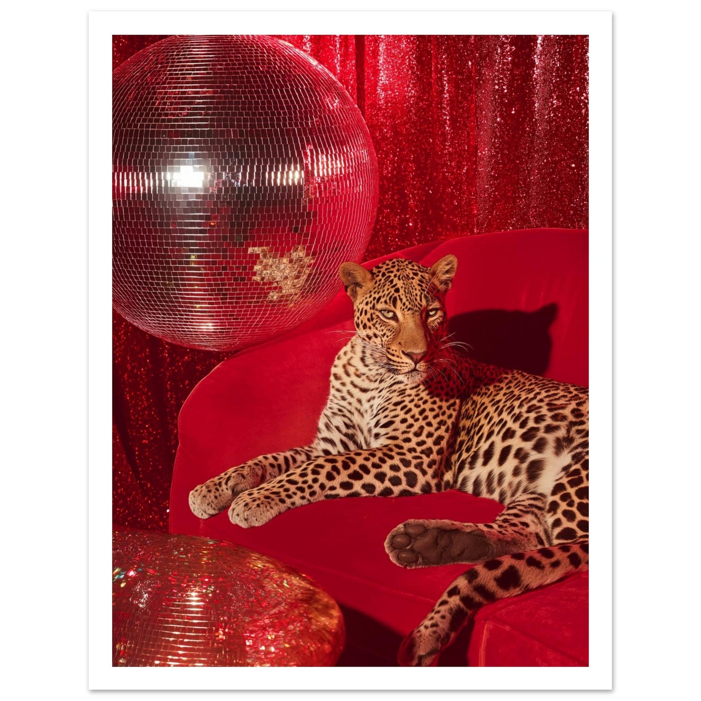 f14c89a1-b937-4ea2-ad2f-26d7890871a8