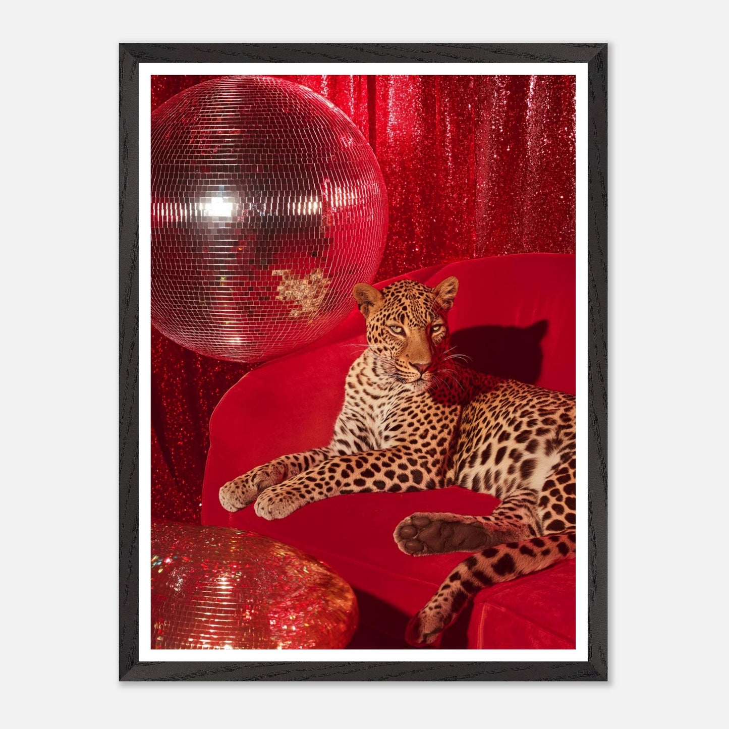 f40d1155-595c-4ccb-b51d-e61c64e49dc2